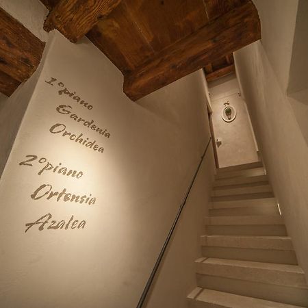 Dimora Corteinfiore Trani Bagian luar foto